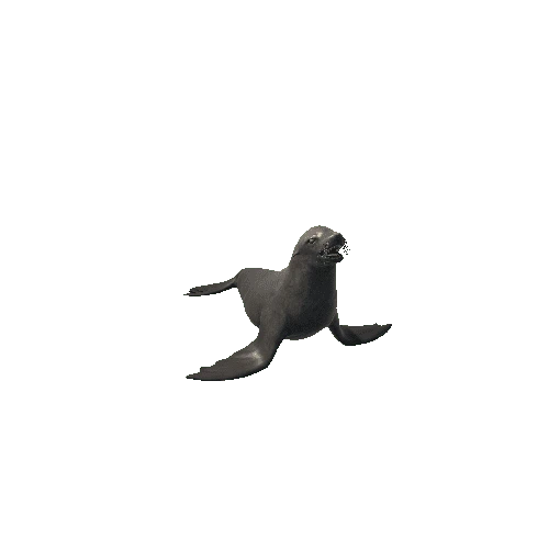 BB_Sea_Lion_SV_RM (1)